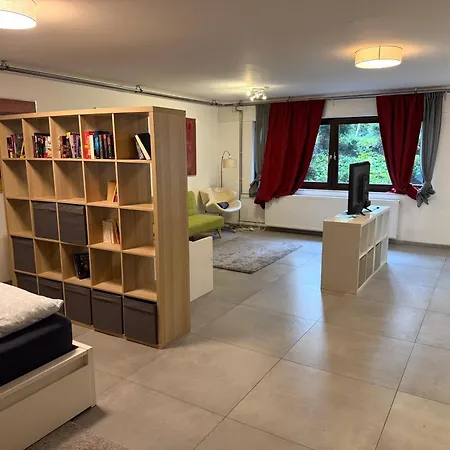Helle Kellerwohnung Im Gruenen Mit Sauna Appartement Cologne