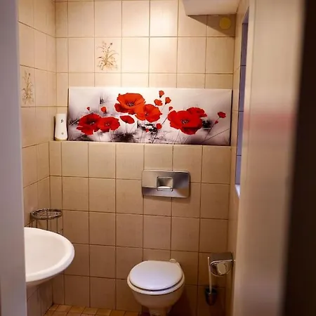 Helle Kellerwohnung Im Gruenen Mit Sauna