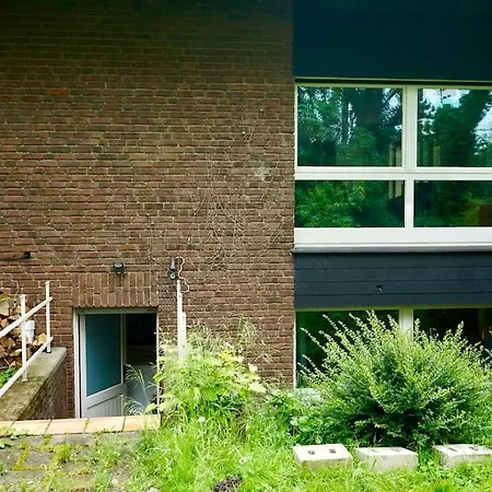 Apartment Helle Kellerwohnung Im Gruenen Mit Sauna Cologne