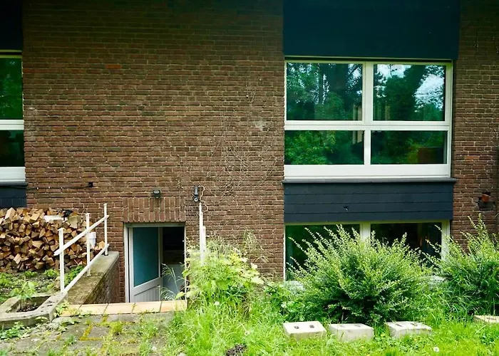 Apartment Helle Kellerwohnung Im Gruenen Mit Sauna Cologne