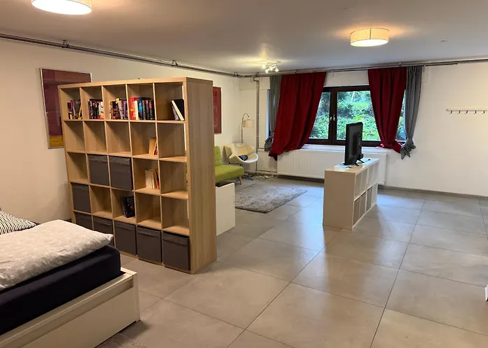 Helle Kellerwohnung Im Gruenen Mit Sauna Apartment Cologne