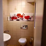 Helle Kellerwohnung Im Gruenen Mit Sauna