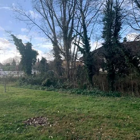 Helle Kellerwohnung Im Gruenen Mit Sauna *